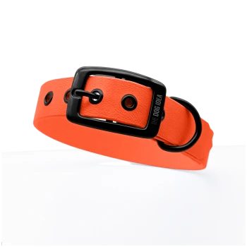 Helle orangefarbene Hundehalsband mit einer schwarzen Schnalle und Löchern zur Anpassung, mit dem Text "DIE HUND IDEE."