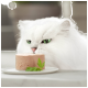 Eine flauschige weiße Katze mit auffälligen grünen Augen schnüffelt neugierig an einem runden Stück Katzenfutter auf einem weißen Teller, garniert mit einem kleinen Blatt Petersilie.