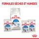 Produits alimentaires pour animaux Royal Canin pour chats d'intérieur, présentant des formules sèches et humides, avec un emballage affichant les étiquettes "Intérieur" et "Stérilisé".