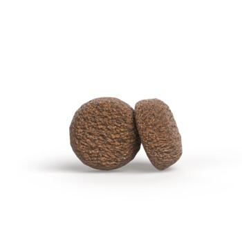 Zwei runde, strukturierte braune Tierfutter-Kroketten auf einem sanft braunen Verlaufs-Hintergrund.