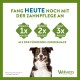 Ein glücklicher Hund mit einem Zahnpflege-Kauartikel, der die Vorteile der täglichen Zahnpflege bewirbt: "FANG HEUTE NOCH MIT DER ZAHNPFLEGE AN."