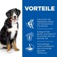 Ein Berner Sennenhund sitzt neben einem blauen Panel, das Vorteile hervorhebt: Gelenkunterstützung, gesunde Haut und sanfte Verdauung.