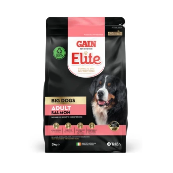 Gain Elite Complete Dog Nutrition for Big Dogs, Adult Salmon flavor, 3kg bag, featuring a Bernese Mountain Dog on the front.