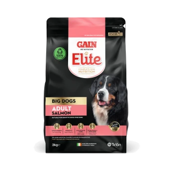 Gain Elite Complete Dog Nutrition for Big Dogs, Adult Salmon flavor, 3kg bag, featuring a Bernese Mountain Dog on the front.