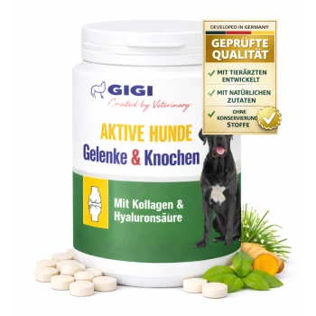 Behälter mit GIGI Gelenk- und Knochensupplementen für aktive Hunde, mit 90 Tabletten, mit Ansprüchen auf Vorteile von Kollagen und Hyaluronsäure.