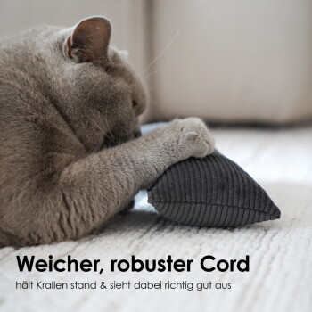 Graue Katze hält ein dunkles Cord-Spielzeug auf einem hellen Teppich; sichtbarer Text: "Weicher, robuster Cord".