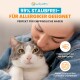 Lucky-Kitty Anzeige: Person umarmt grau-weiße Katze; '99% STAUBFREI – FÜR ALLERGIKER GEEIGNET', 'PERFEKT FÜR EMPFINDLICHE NASEN'.