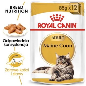 Opakowanie karmy dla kotów Royal Canin Adult Maine Coon, z kotem rasy Maine Coon, z tekstem podkreślającym odżywianie i korzyści zdrowotne rasy.