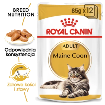 Opakowanie karmy dla kotów Royal Canin Adult Maine Coon, z kotem rasy Maine Coon, z tekstem podkreślającym odżywianie i korzyści zdrowotne rasy.