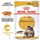 Opakowanie karmy dla kotów Royal Canin Adult Maine Coon, z kotem rasy Maine Coon, z tekstem podkreślającym odżywianie i korzyści zdrowotne rasy.