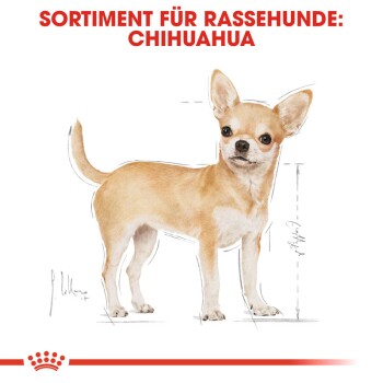 Illustration eines Chihuahua-Hundes mit einem hellbraunen Fell, beschriftet mit "SORTIMENT FÜR RASSEHUNDE: CHIHUAHUA" oben.