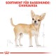 Illustration eines Chihuahua-Hundes mit einem hellbraunen Fell, beschriftet mit "SORTIMENT FÜR RASSEHUNDE: CHIHUAHUA" oben.