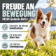 Eine klare Glasschüssel, gefüllt mit weißem Pulver, begleitet von einem kleinen weißen Messlöffel, der gegen den Rand der Schüssel lehnt.