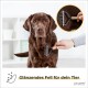 Eine Person bürstet sanft einen braunen Labrador Retriever mit einem Pflegewerkzeug, um glänzendes Fell zu fördern. Der Text lautet: 'Glänzendes Fell für dein Tier.'