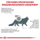 Illustration einer Katze mit Text, der die Risiken von Fettleibigkeit hervorhebt und gesundheitliche Probleme sowie Gewichtsmanagement für Katzen betont.