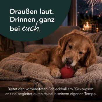 Golden Retriever auf dem Bett leckt an einem roten Belohnungsball, Kerzen und Feuerwerk sichtbar; Text: 'Draußen laut. Drinnen, ganz bei euch.'