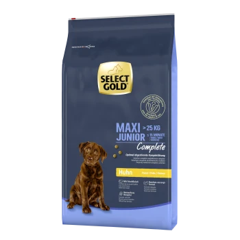 Sac de nourriture pour chien Gold Maxi Junior, adapté aux chiens de plus de 25 kg, âgés de 15 mois, avec du poulet comme ingrédient principal.