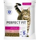 Active 1+ mit Rind 6x750 g