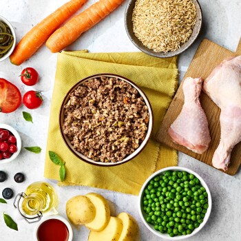 Bowl of ground meat pet food surrounded by raw chicken, carrots, peas, rice, potatoes, and various fruits on a white surface.