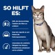 Eine gesunde Katze mit einem blauen Halsband steht neben einem Text, der die Produktvorteile auflistet: unterstützt die Nierenfunktion, regt den Appetit an, hilft bei der Muskelpflege.