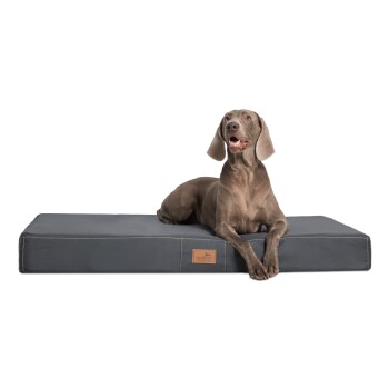 ® HUGO BASIC Hundematratze schwarz/ graphit 1,5 m, 13 cm, 1 m