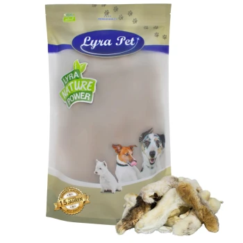 Lyra Pet Hundeleckerlis Verpackung mit dem Text "LYRA NATURE POWER" und Bildern von drei Hunden, mit einem Stapel Leckerlis davor.