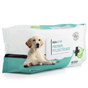 Packung mit REAVET Premium Tierfeuchttüchern, mit einer Hundillustration, beschriftet "Extra groß & mit natürlicher Aloe Vera," enthält 100 Tücher.