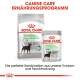 Royal Canin Canine Care Produkte, mit einer Tüte Trockenfutter, die mit 'Digestive Care MINI' gekennzeichnet ist, und einem Beutel Nassfutter, beide fördern eine verbesserte Stuhlqualität.