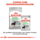 Royal Canin Canine Care Produkte, mit einer Tüte Trockenfutter, die mit 'Digestive Care MINI' gekennzeichnet ist, und einem Beutel Nassfutter, beide fördern eine verbesserte Stuhlqualität.