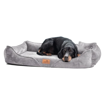 Schwarz-brauner Hund liegt auf einem grauen Tierlando-Tierbett mit erhöhten Rändern vor weißem Hintergrund.