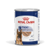 Dosenfutter für Hunde von Royal Canin, beschriftet "maxi ageing" für große Hunde über 5 Jahre, mit einer Laib-Mousse-Textur und einem Bild eines Deutschen Schäfers.