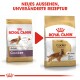 Bild von zwei Säcken Royal Canin Cocker Hundefutter, das ein neues Design auf der rechten Seite zeigt mit dem Text "NEUES AUSSEHEN, UNVERÄNDERTE REZEPTUR" darüber.
