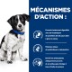 Un chien noir et blanc est assis contre un fond bleu avec un texte en français sur une formule digestible pour la gestion du stress et les Omega-3.