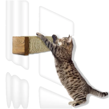 Getigerte Katze, die sich streckt und an einem an der Wand montierten Sisalseil-Kratzbaum kratzt, bei hellem Licht.
