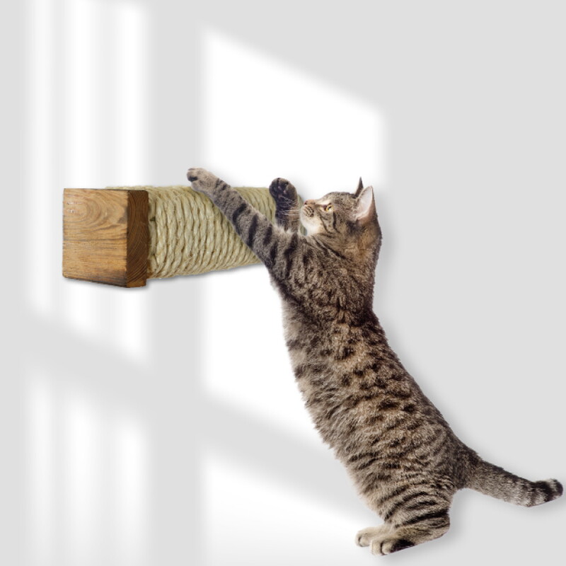 Rohrschneider ® Katzentreppe, Wandelement für Katzen mit starkem Sisalseil sandbraun