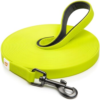 Helle neon-gelbe Hundeleine mit einem schwarzen Metallclip, ordentlich auf einem weißen Hintergrund aufgerollt.