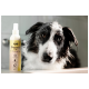 Eine Nahaufnahme eines nassen Hundes mit schwarz-weißen Fell, der in die Kamera schaut, neben einer Flasche "Shampoo Dry" für trockene Felle, 250 ml.