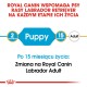 Karma dla psów Royal Canin dla labradorów, wskazująca etapy: 2 miesiące szczeniaka i 15 miesięcy dorosłego, z notatką o przejściu na nową karmę.