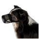 Profil latéral d'un chien noir et brun portant une muselière en maille noire, montrant son expression attentive sur un fond blanc.