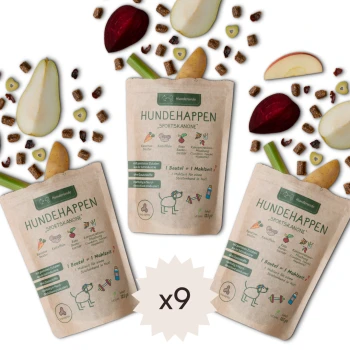 Sportskanone vegane Snacks 1,125 kg Hundehappen "Sportskanone" Hundeleckerlis in umweltfreundlicher Verpackung, mit Zutaten wie Kartoffeln und Äpfeln, mit einem veganen Etikett.