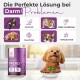 Ein Hund sitzt an einem Tisch und leckt sich die Lippen neben einer Futterschüssel. Der Text darüber sagt "Die Perfekte Lösung bei Darm Problemen" mit Symbolen für Verdauungsprobleme.