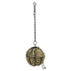 Hängender Heuballfütterer aus Metalldraht, gefüllt mit getrocknetem Gras, an einer Kette für kleine Haustiere befestigt.