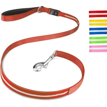 Rote Hundeleine mit einem silbernen Clip, mit einem weißen Streifen, neben bunten Leinenoptionen in Gelb, Grün, Pink und Blau.