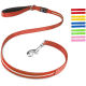 Rote Hundeleine mit einem silbernen Clip, mit einem weißen Streifen, neben bunten Leinenoptionen in Gelb, Grün, Pink und Blau.