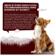 Fünf Dosen Tierfutter mit den Aufschriften 'Hirsch Pur', 'Kaninchen Pur', 'Ziege Pur', 'Pferd Pur', 'Känguru Pur', mit '100% PUR'-Stempel, 400 g.