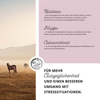Zwei Pferde in einer nebligen Landschaft mit Text zu beruhigenden Inhaltsstoffen: Baldrian, Hopfen und Calciumchlorid zur Stresslinderung.