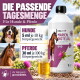 Ein glücklicher schwarz-weißer Hund, der durch ein Feld mit lila Blumen läuft, umgeben von Grün.