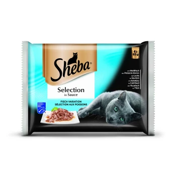 Selection Variation in Sauce 4x85g Mix-Pack Sheba Katzenfutterverpackung mit einer grauen Katze und einem Teller mit Fisch in Sauce. Der Text enthält "Auswahl in Sauce" und "Fisch Variation."