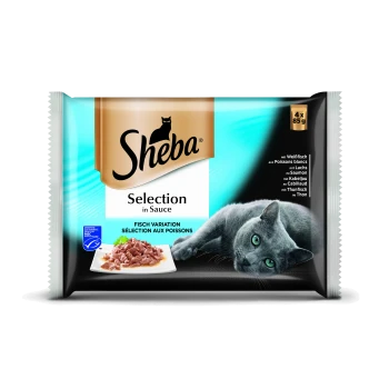 Sheba Katzenfutterverpackung mit einer grauen Katze und einem Teller mit Fisch in Sauce. Der Text enthält "Auswahl in Sauce" und "Fisch Variation."