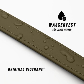 Ein stilvolles Haustierhalsband mit einem olivgrünen Riemen, einem gepolsterten schwarzen Innenraum und einer leuchtend orangefarbenen Schnalle mit zwei schwarzen Punkten.